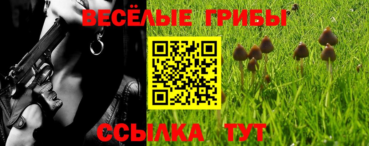 Псилоцибиновые грибы мухоморы Ярцево
